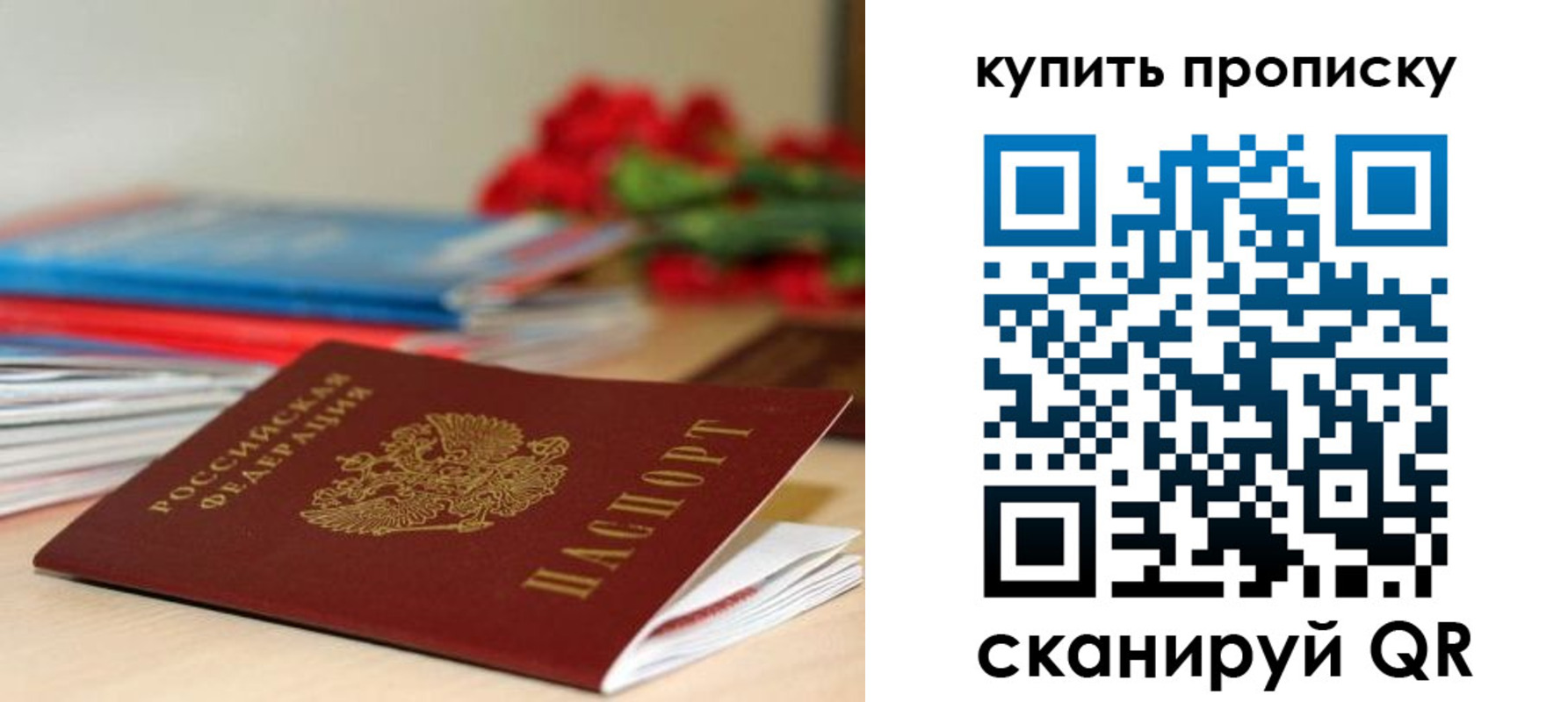 прописка в Московской области